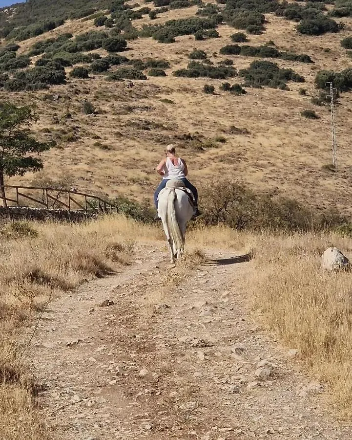 Magical Andalusian Vacation 